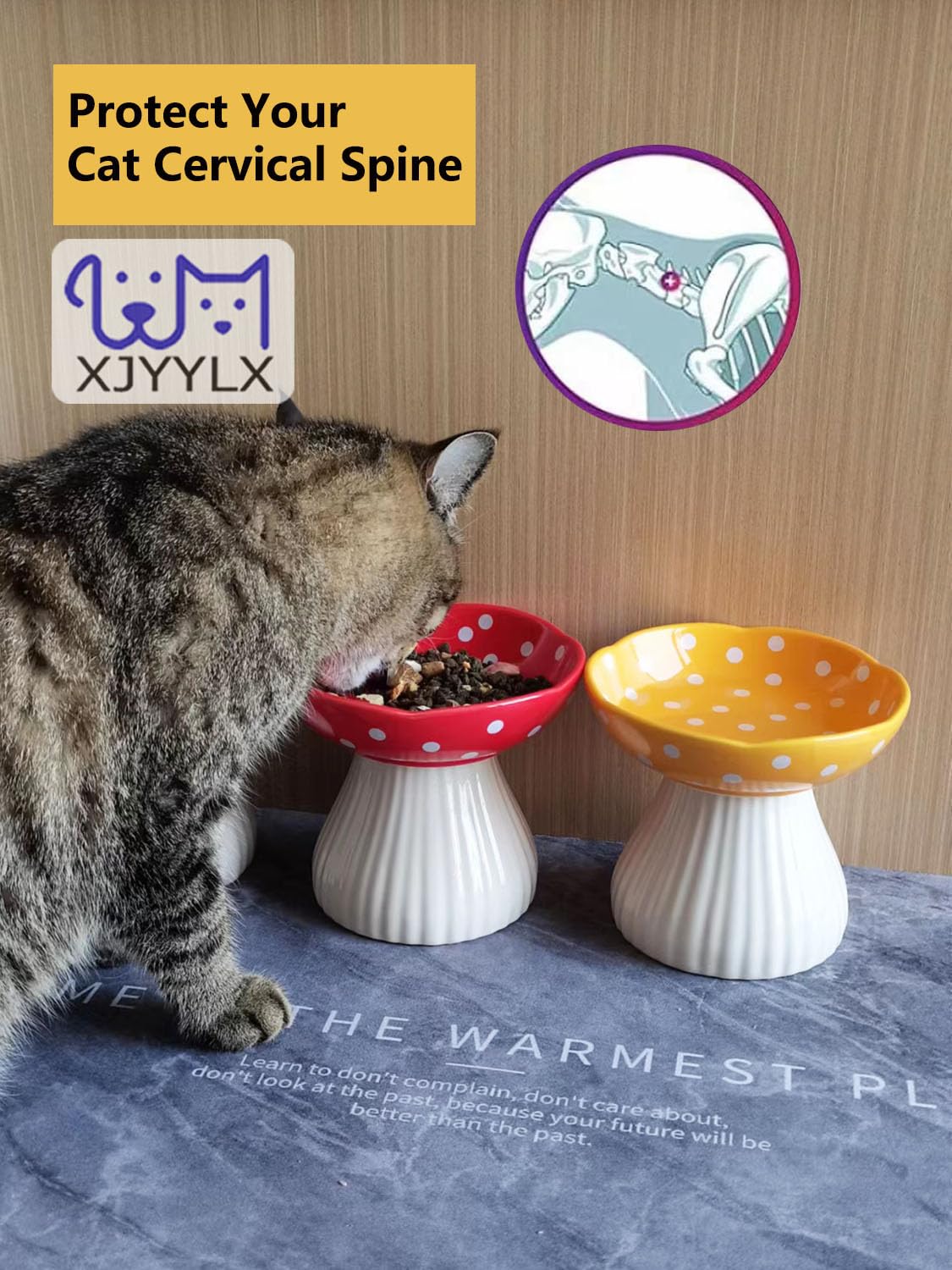 XJYYLX cat-food-bowl-red bright color enhances mealtime appeal