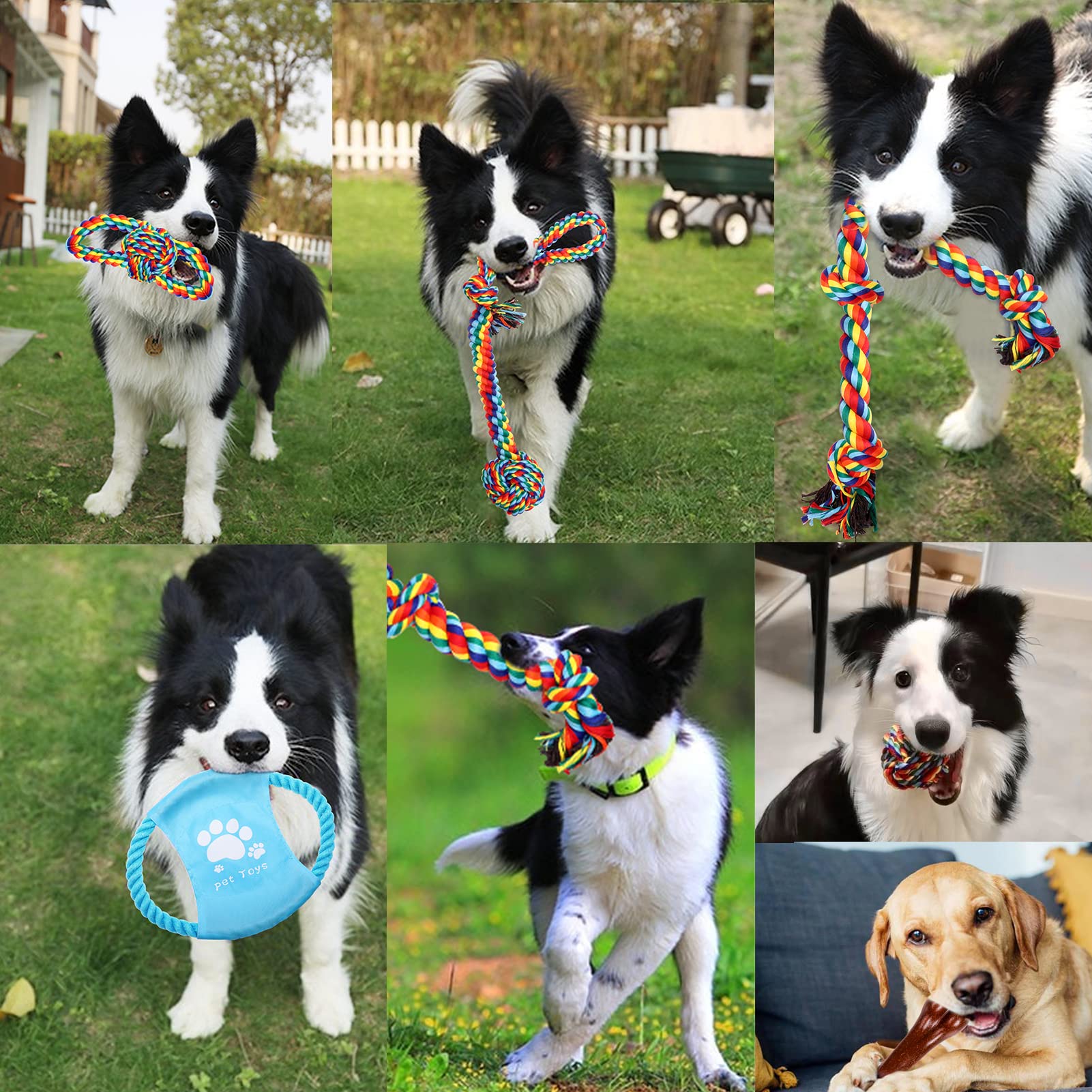 XLMYS chew toy set supports safe indoor and outdoor play
