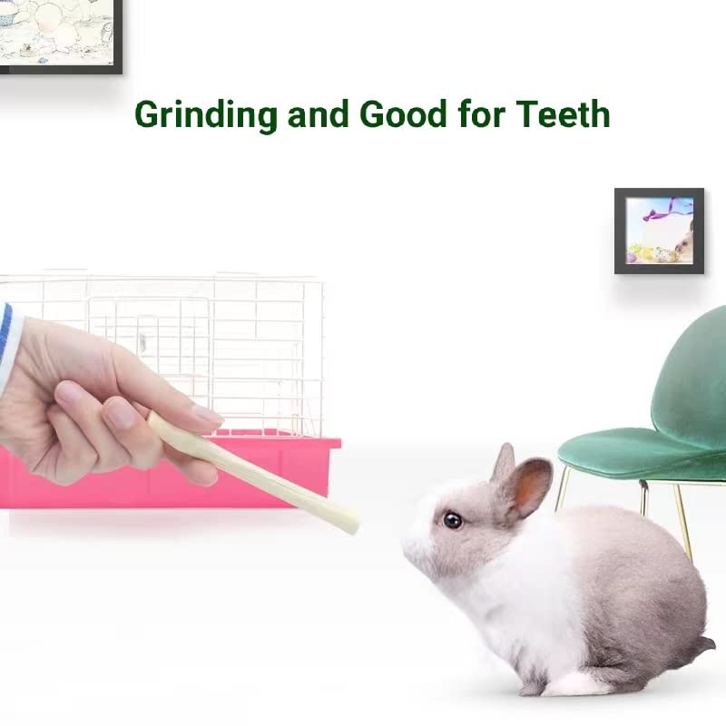 XLpeixin teeth-friendly chew helps small pets exercise their jaw with crunch.