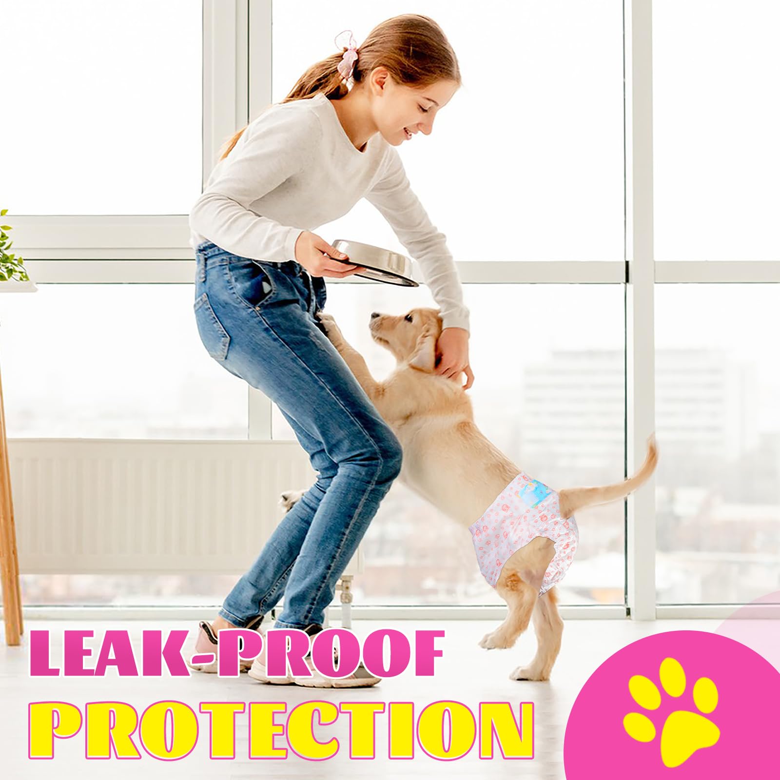 XPCARE dog diaper ideal for travel and public settings