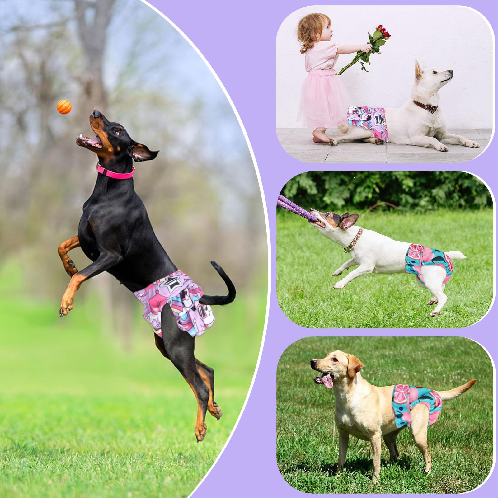 XPCARE four-pack adds color variety and convenient use at home.