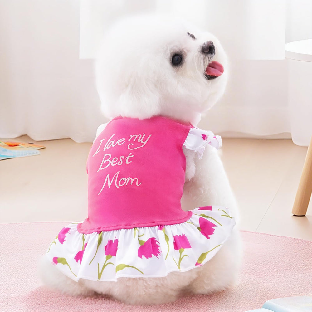 XPUDAC dog dress four-pack in variety of colors for stylish small dogs.