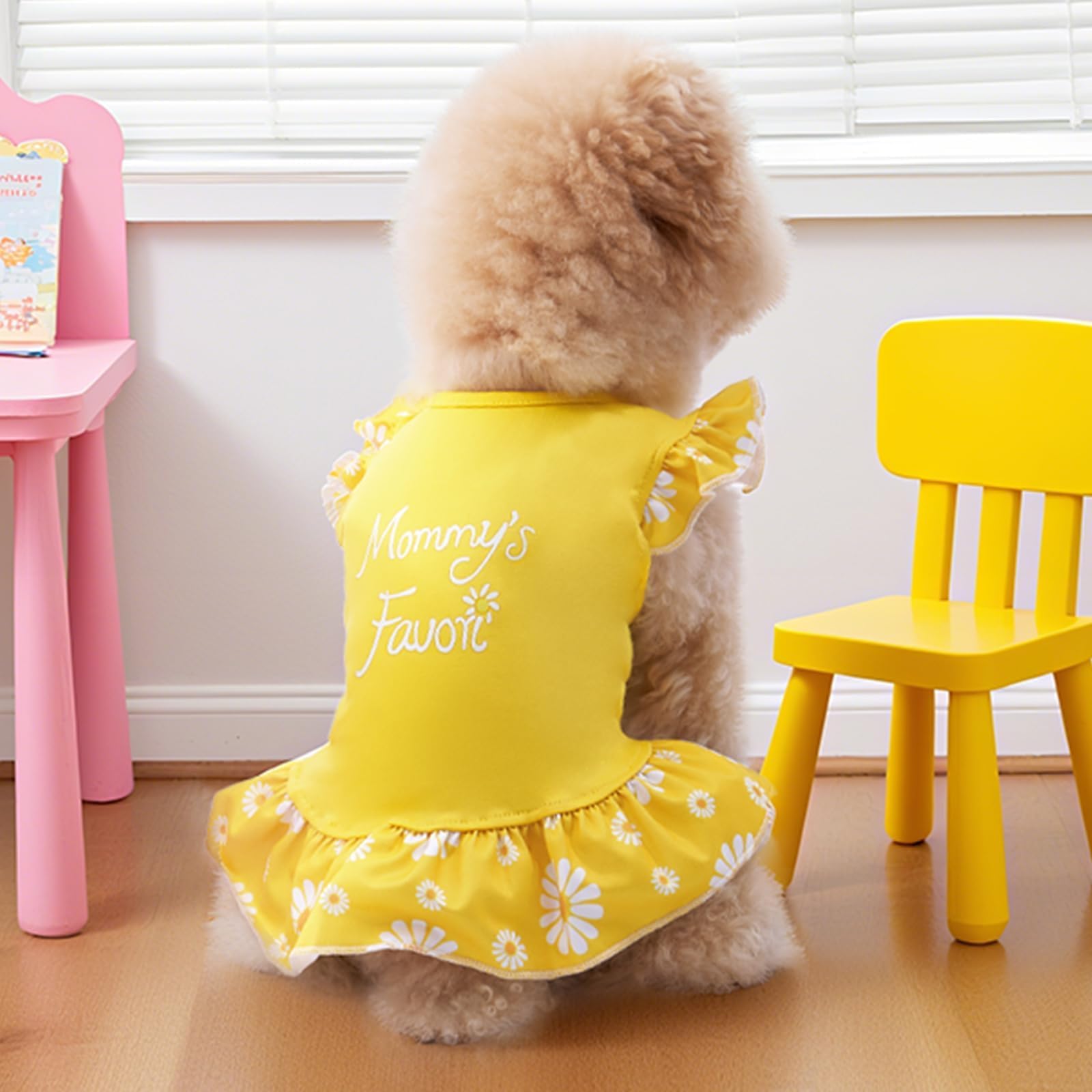 XPUDAC dog dress four-pack ideal for birthday, holidays, and outings.