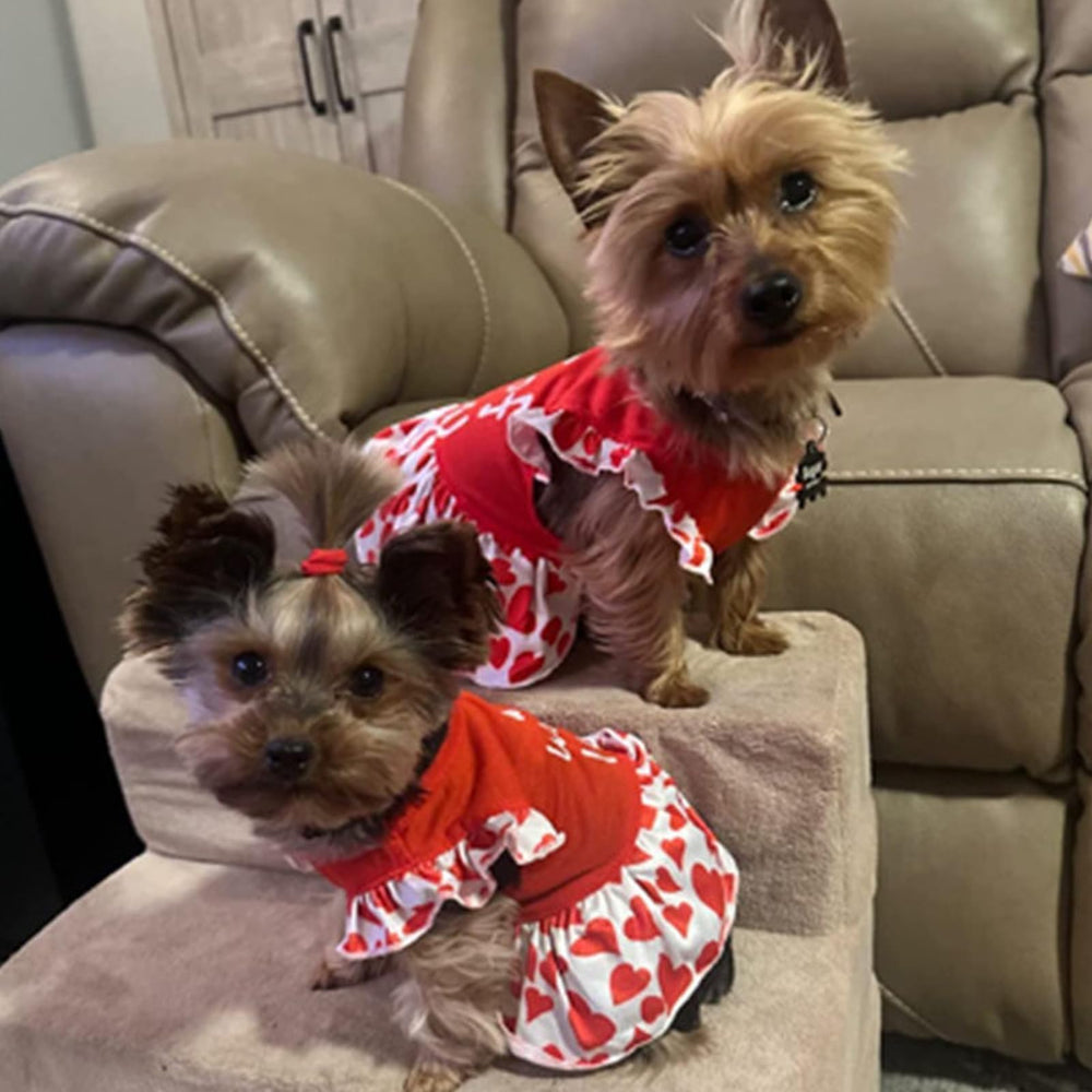 XPUDAC blue floral dog dress ideal for parties and walks