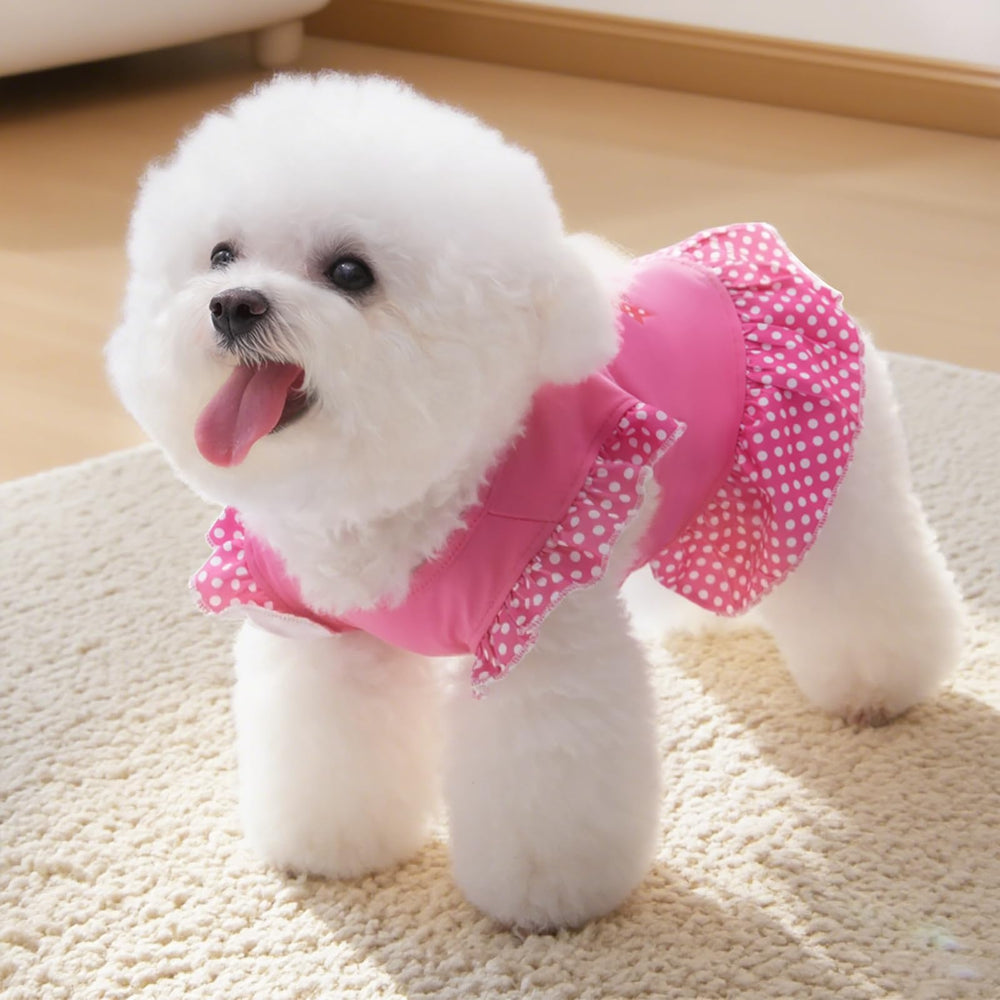 XPUDAC four-piece pack for small dogs and cats enables mix-and-match outfits.