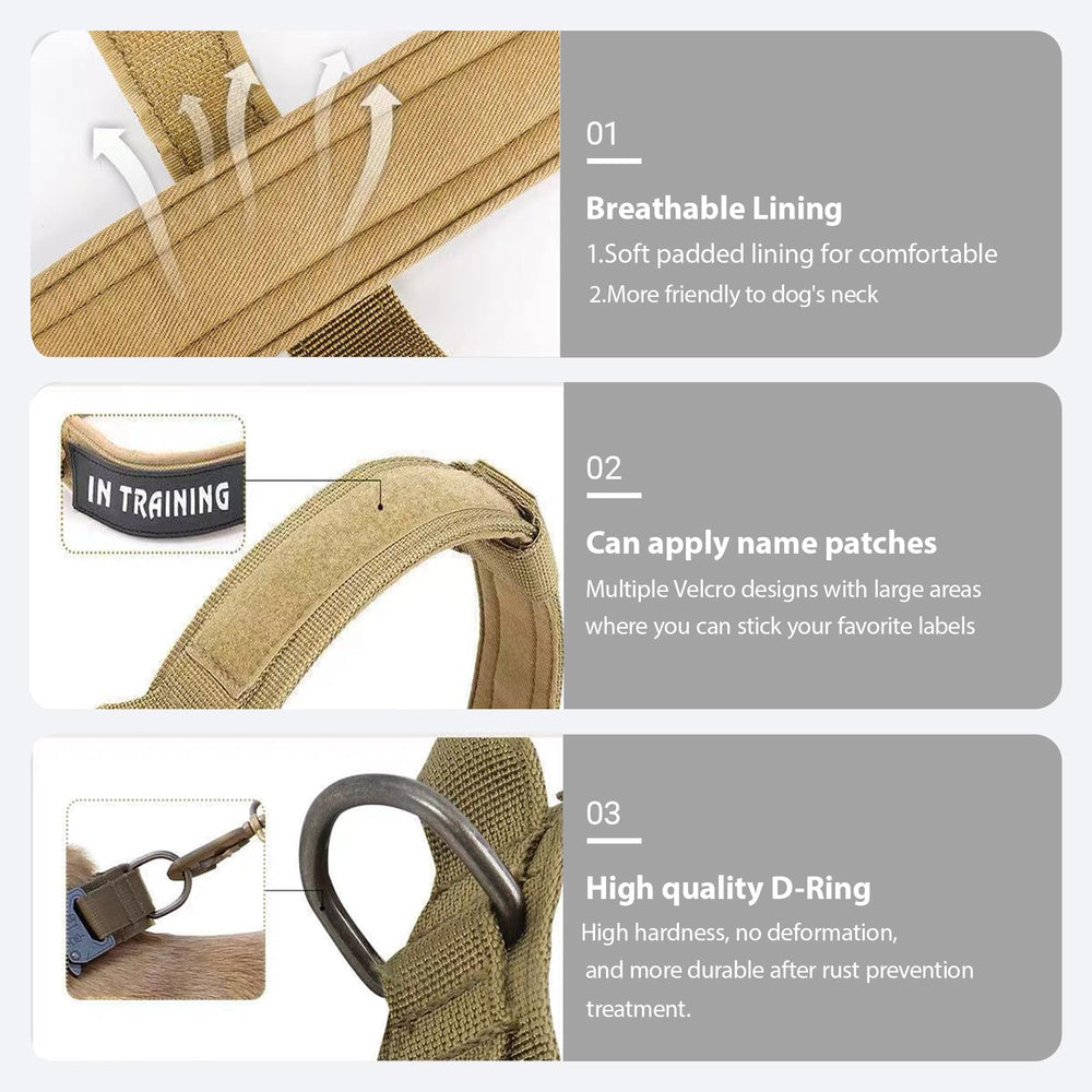 Xqpetlihai dog collar metal buckle close-up shows secure closure