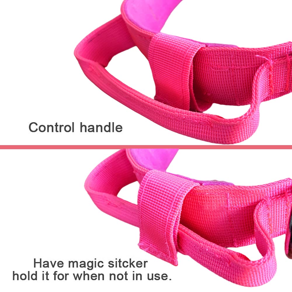 Xqpetlihai double-security system collar combines buckle and fastener for safety.