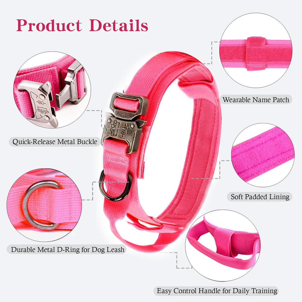 Xqpetlihai heavy-duty metal buckle collar offering secure closure and reliability.