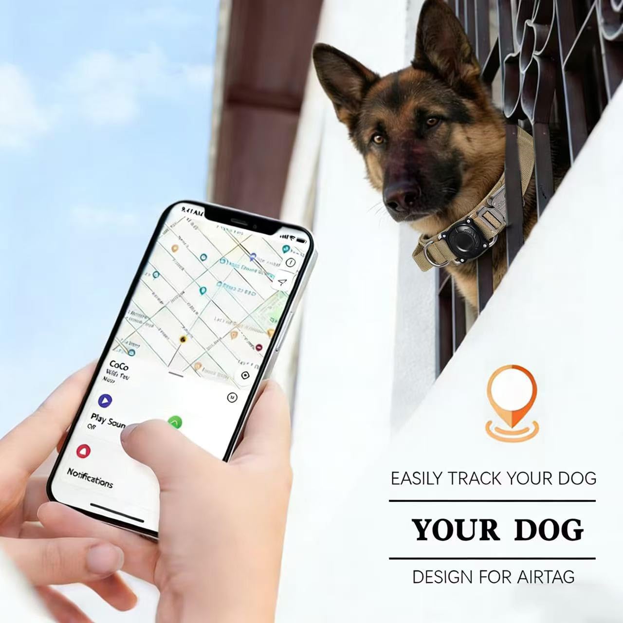 Xqpetlihai metal buckle ensures secure, adjustable fit for powerful dogs.