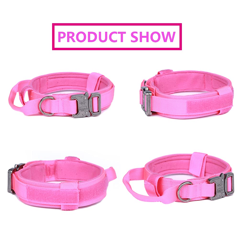 Xqpetlihai 1000D nylon collar highlights rugged durability for training sessions.