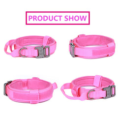 Xqpetlihai 1000D nylon collar highlights rugged durability for training sessions.