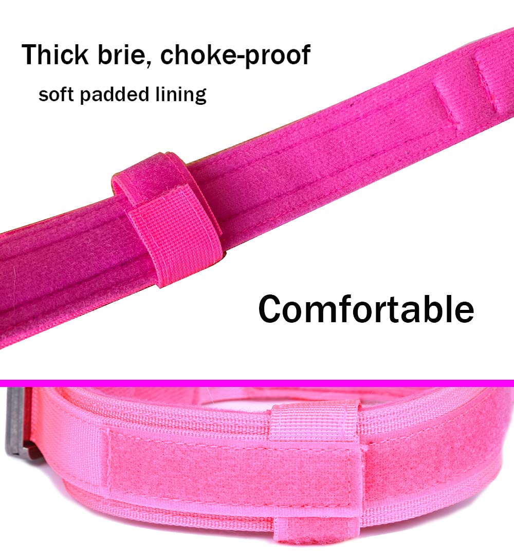 Xqpetlihai soft padded interior collar for gentle wear and neck protection.