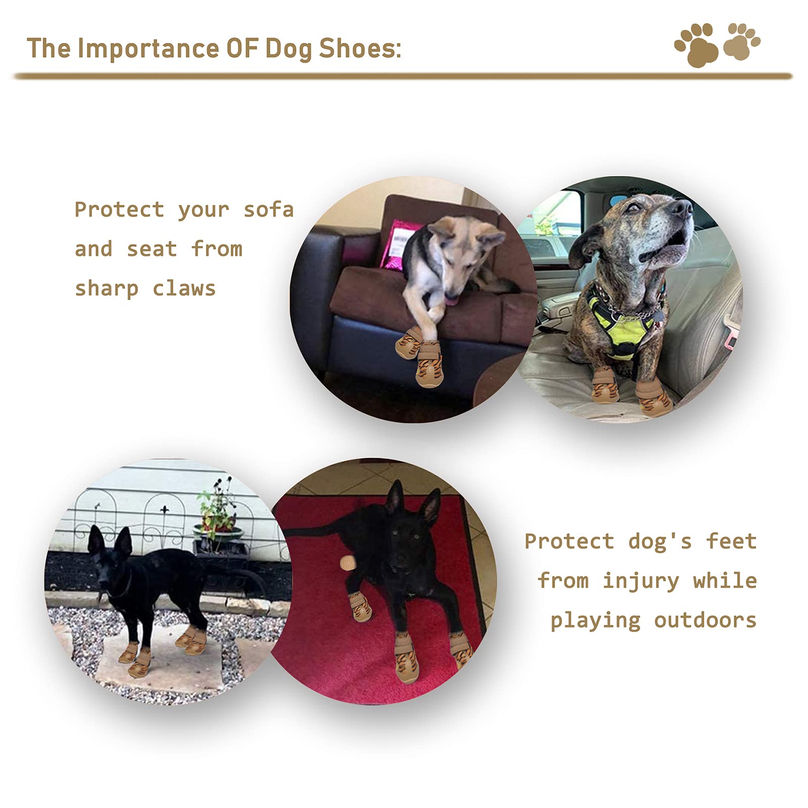 XSY&G dog boots protect paws from stones and hot pavement during outdoor walks.
