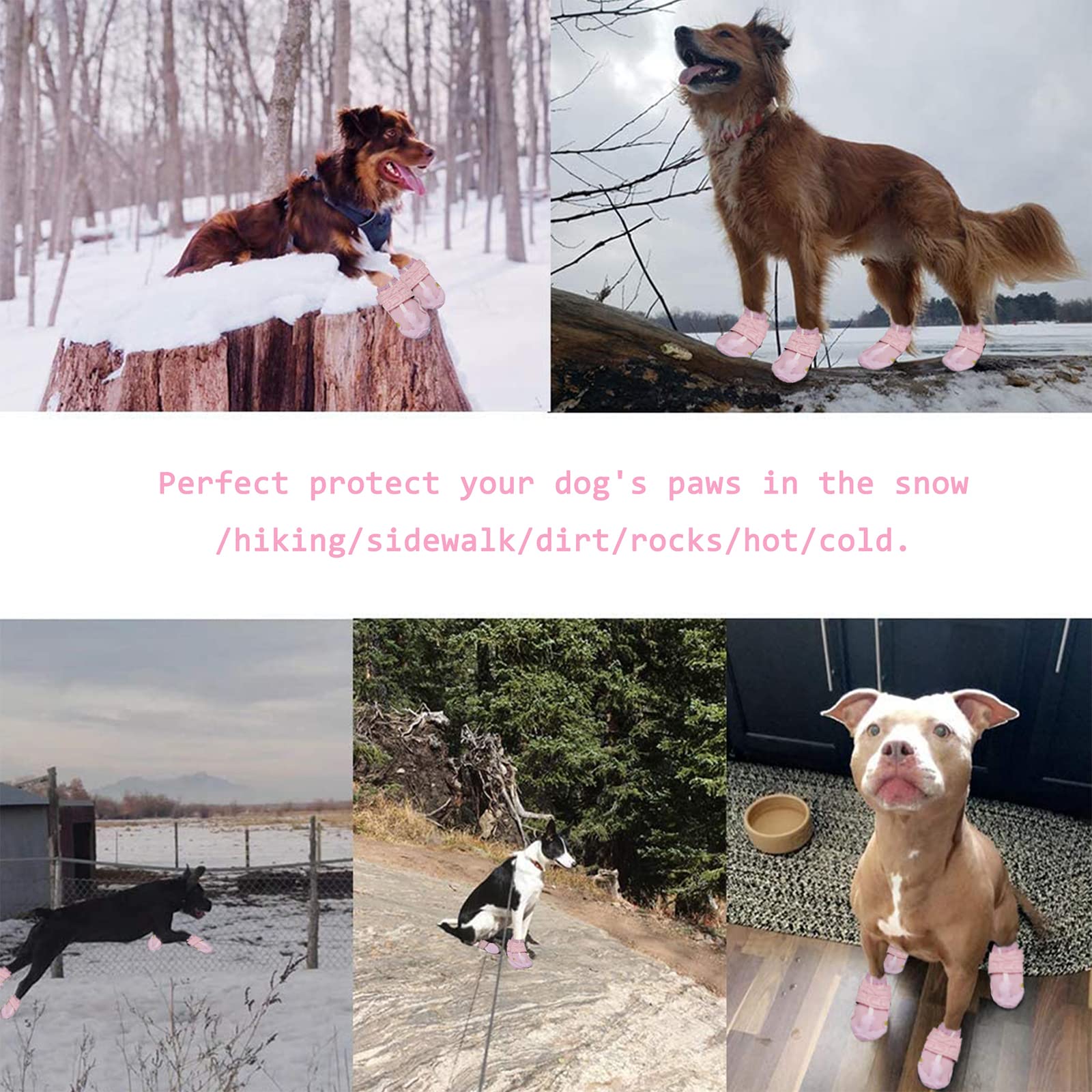 XSY&G Dog Boots keep paws dry on rainy days.