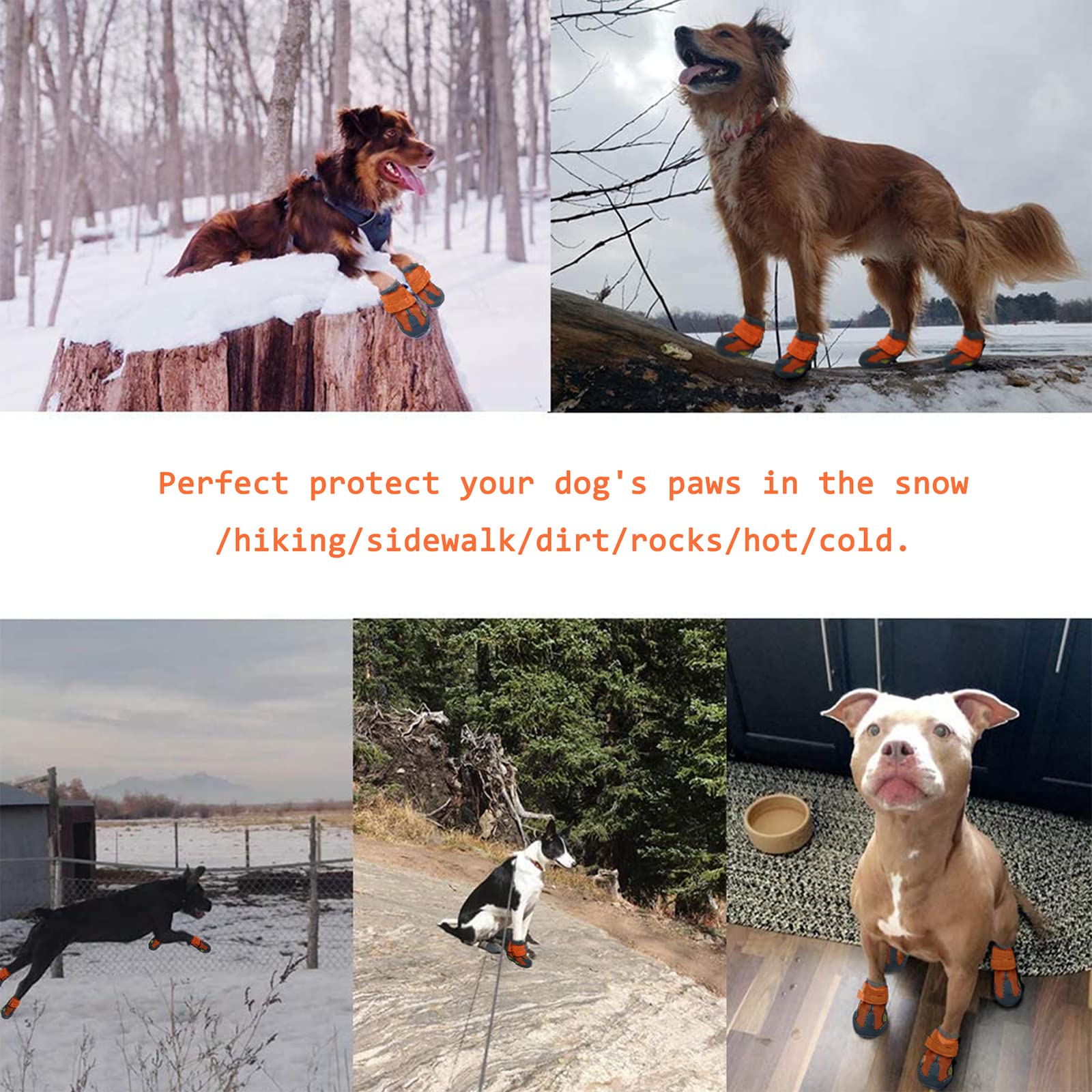 XSY&G dog boots size chart with fit guidance