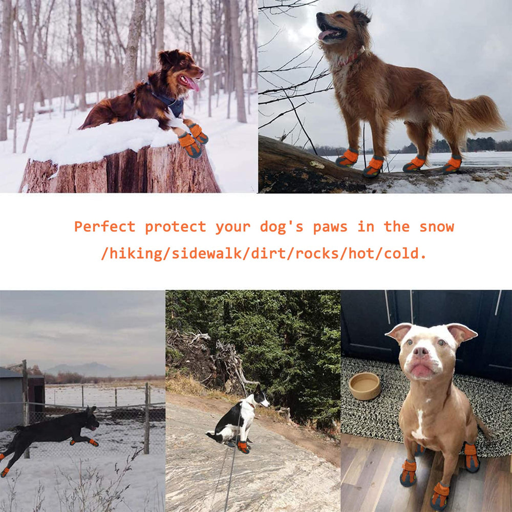 XSY&G dog boots size chart with fit guidance
