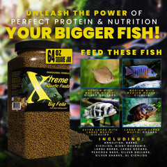 XTreme Aquatic Foods Big Fella 3mm pellets on a cichlid mouth close-up