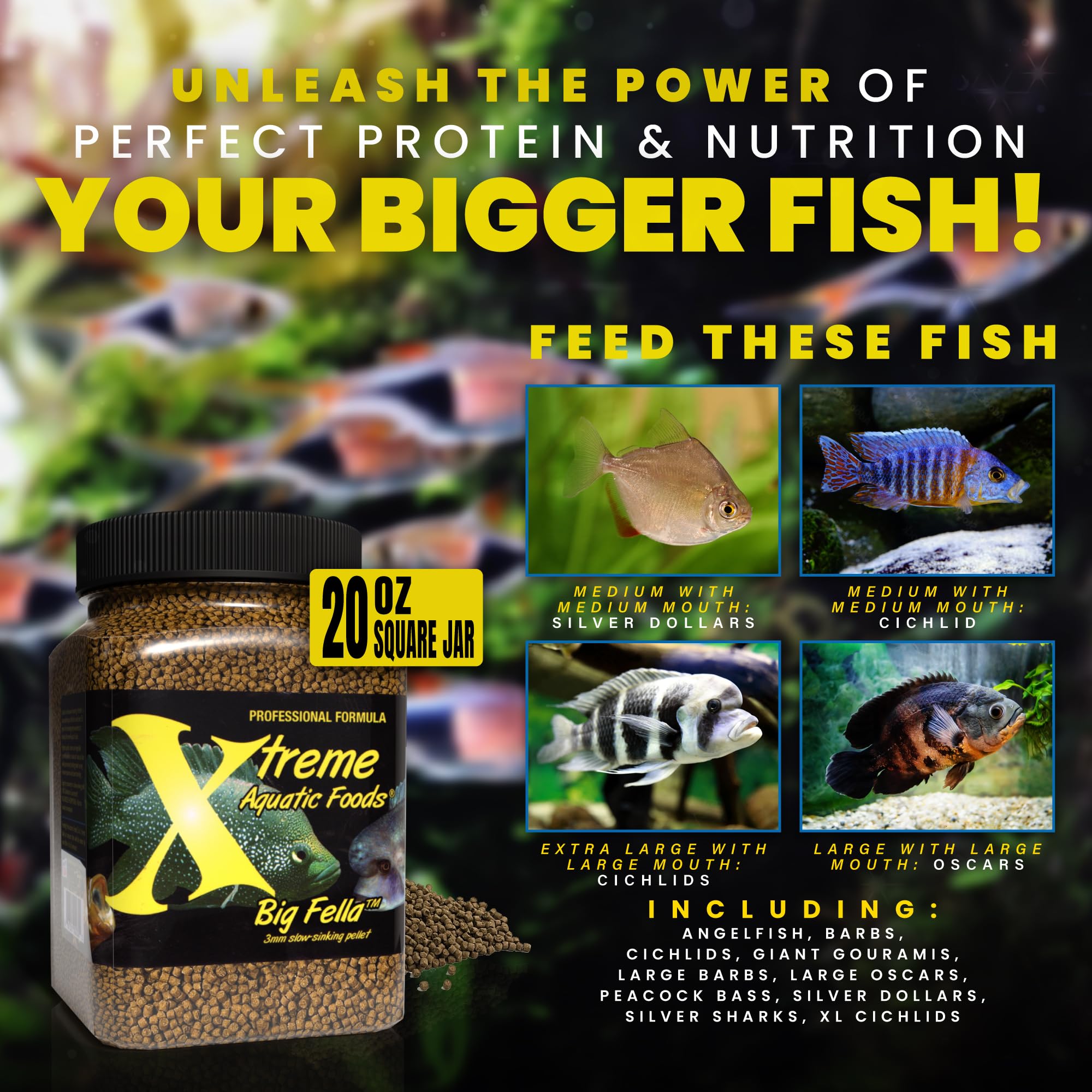 Xtreme Aquatic Foods Big Fella marine protein blend highlights krill and shrimp.