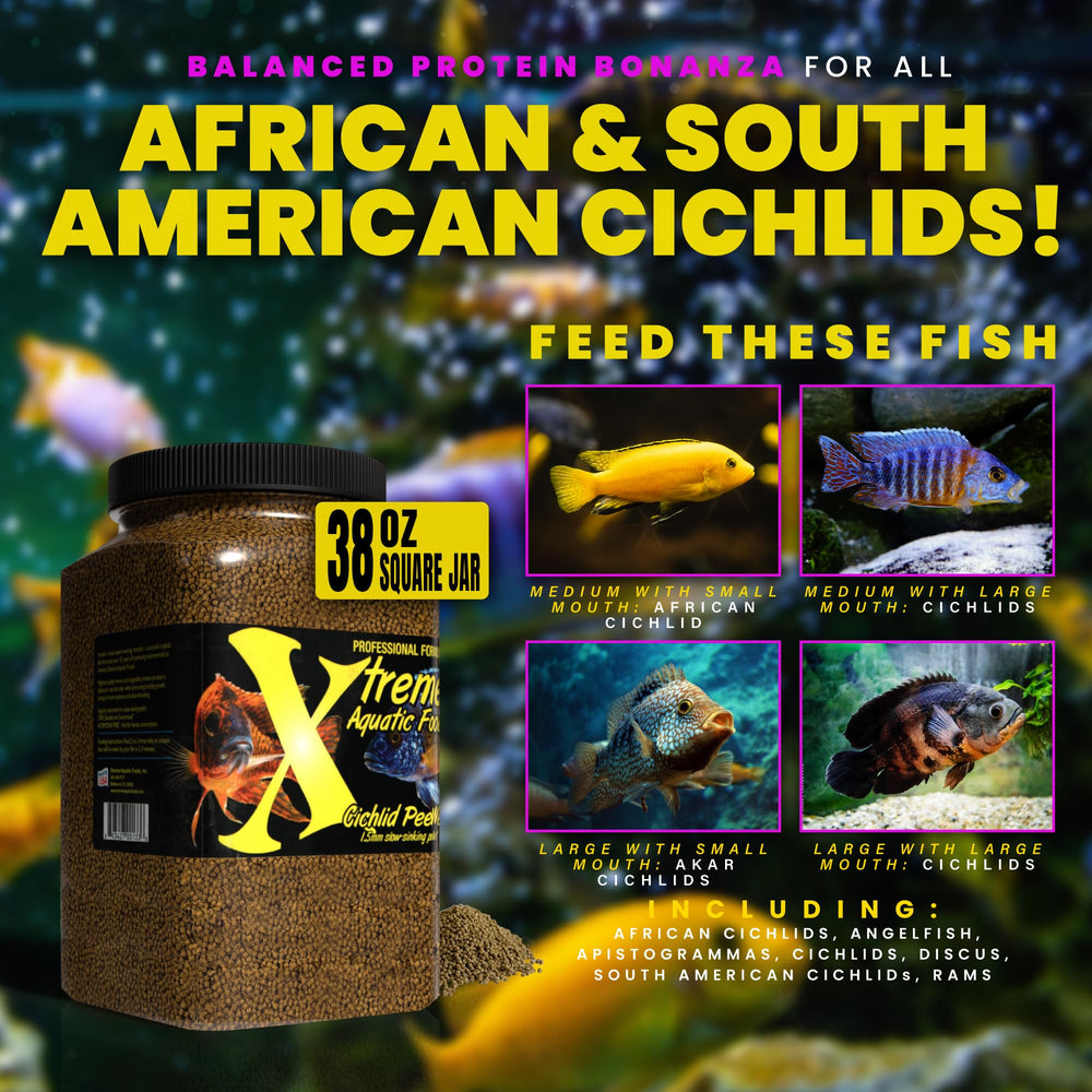 Close-up of Xtreme Cichlid PeeWee pellets showing uniform size for easy feeding