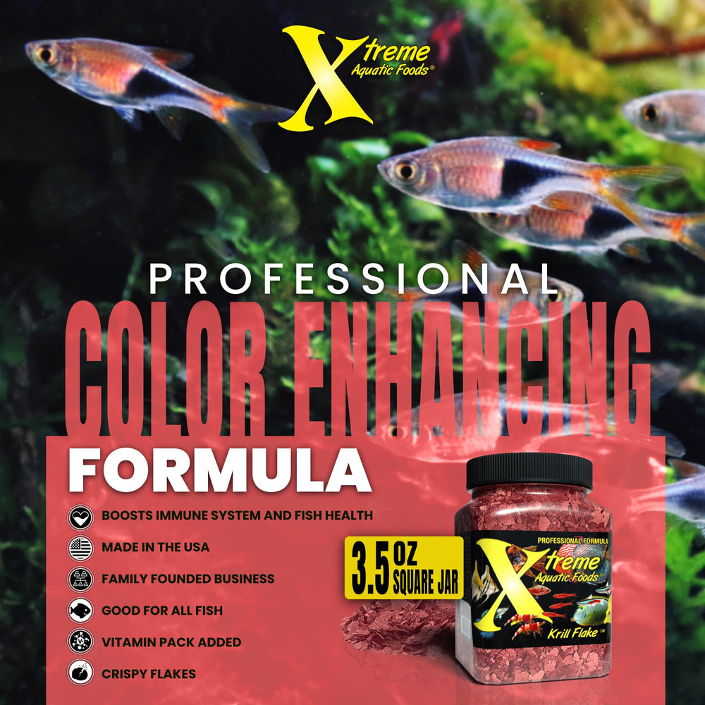 Water with Xtreme Krill Flakes color enhancement visible after feeding.