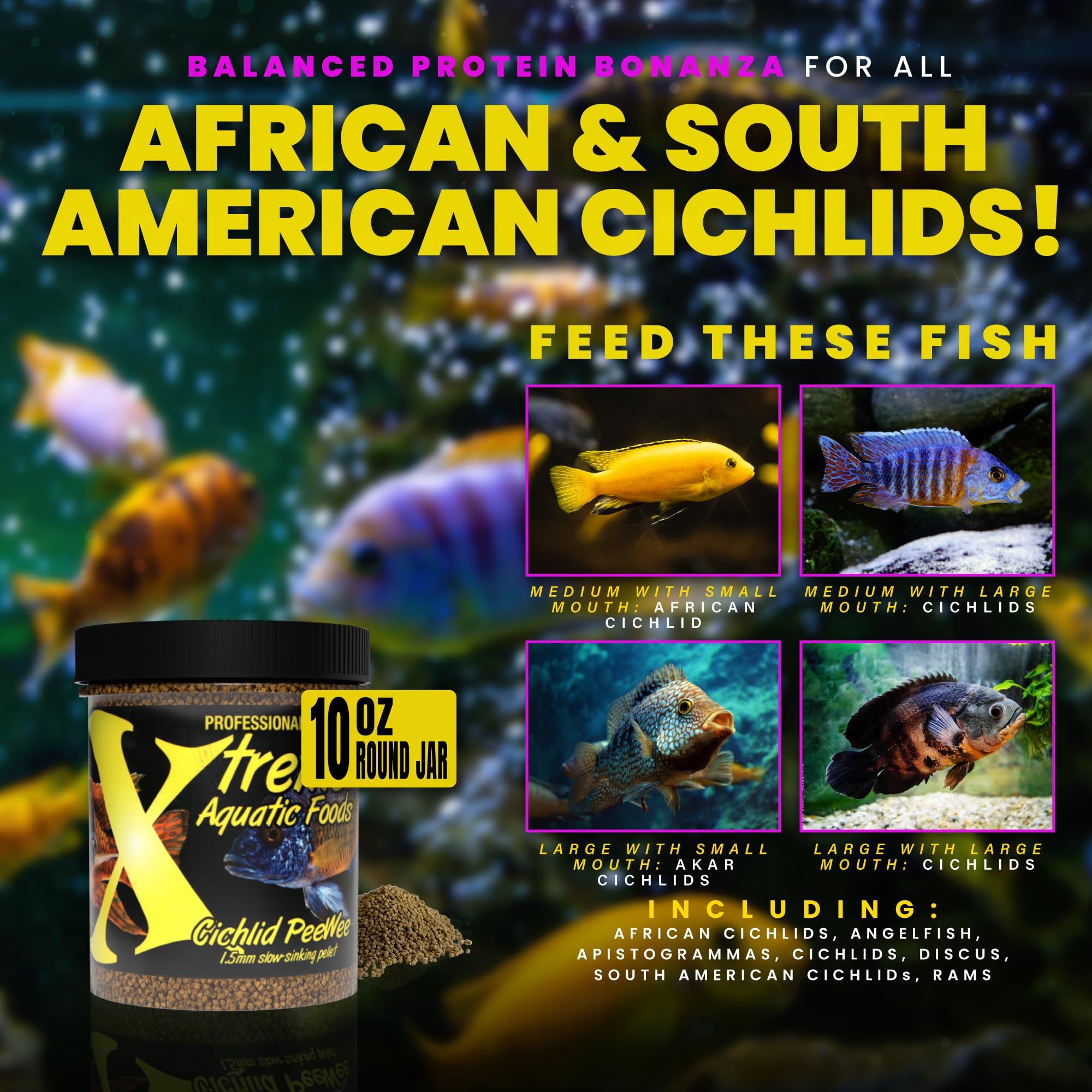 PeeWee pellets in dish promoting calm feeding by cichlids