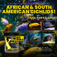 PeeWee pellets in dish promoting calm feeding by cichlids