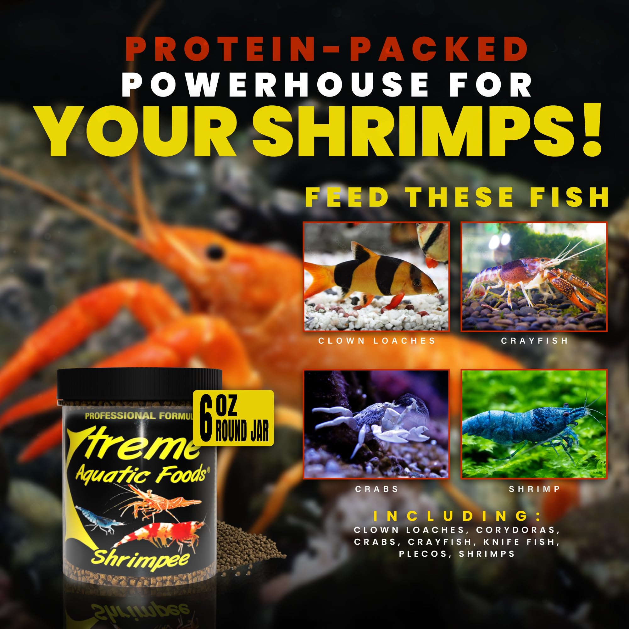 xtreme shrimpee 3mm stick feeding-in-tank demonstrates daily staple for shrimp