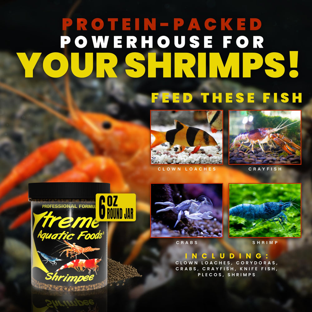 xtreme shrimpee 3mm stick feeding-in-tank demonstrates daily staple for shrimp