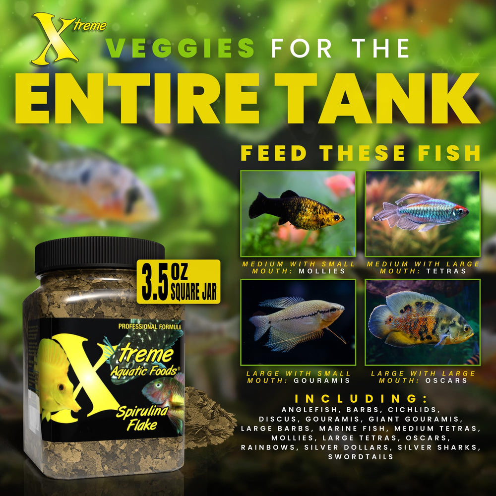Xtreme Spirulina Flakes color-boost imagery enhances hues of tropical and marine species.