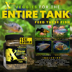 Xtreme Spirulina Flakes color-boost imagery enhances hues of tropical and marine species.