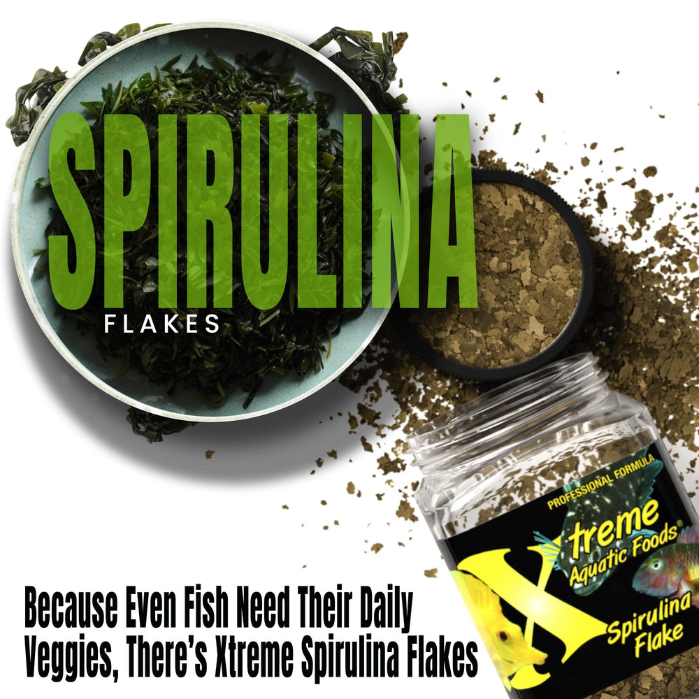 Xtreme Spirulina Flakes digestion-focused flakes with easily digestible proteins.