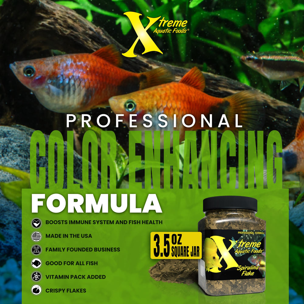 Xtreme Spirulina Flakes Vitamin C and Brewers Yeast infusion supports healthy fins and gill development.