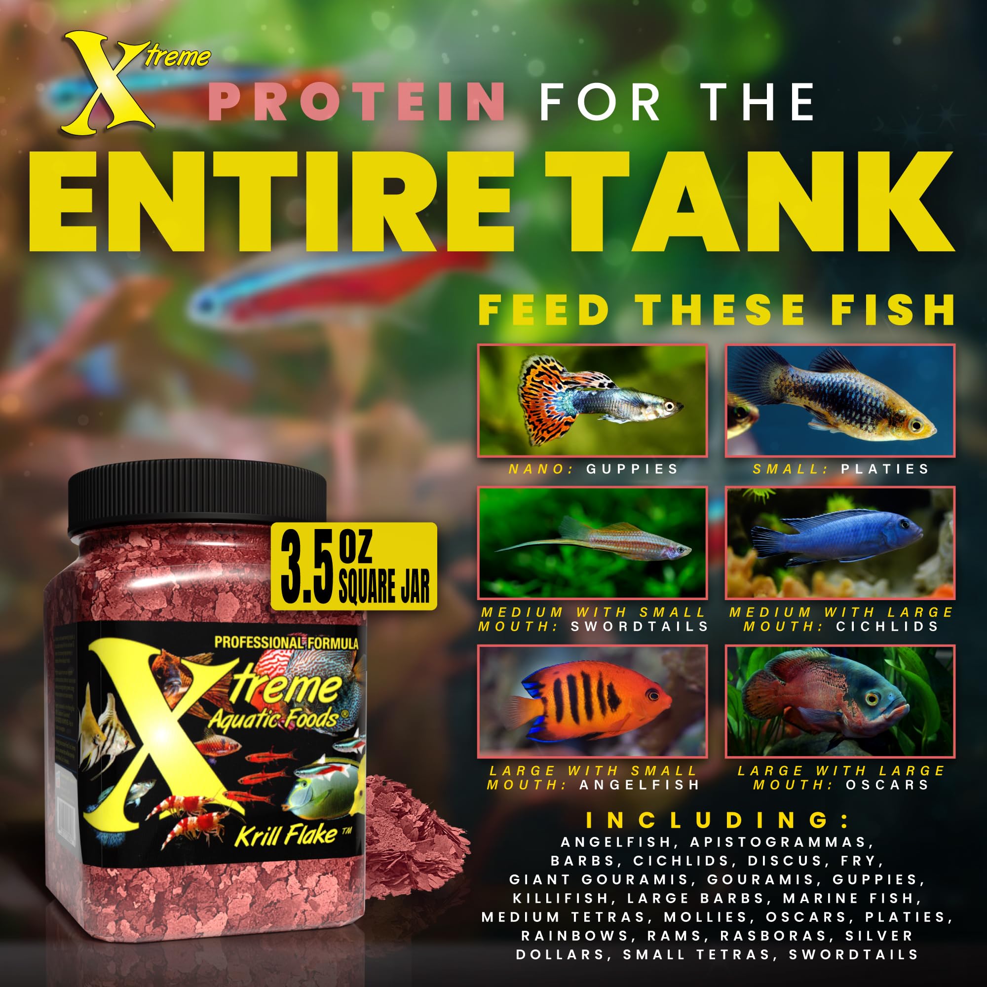 Thin, crisp Xtreme Krill Flakes resting on a feeding spoon.
