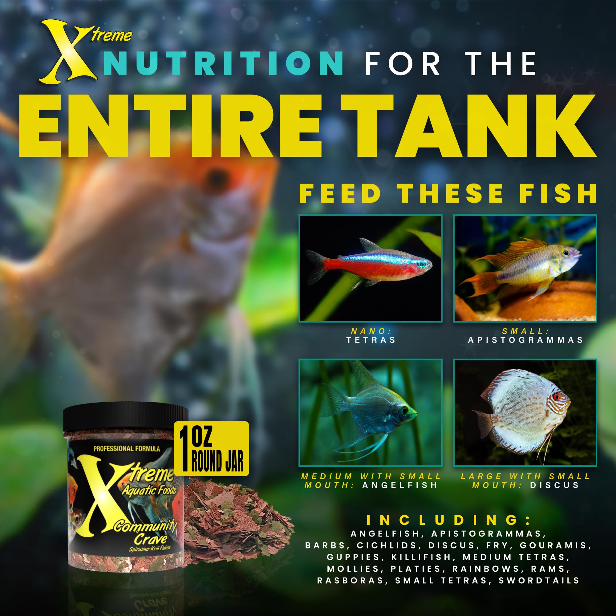 Xtreme Aquatic Foods water-clarity during feeding demonstrates crystal-clear tanks.