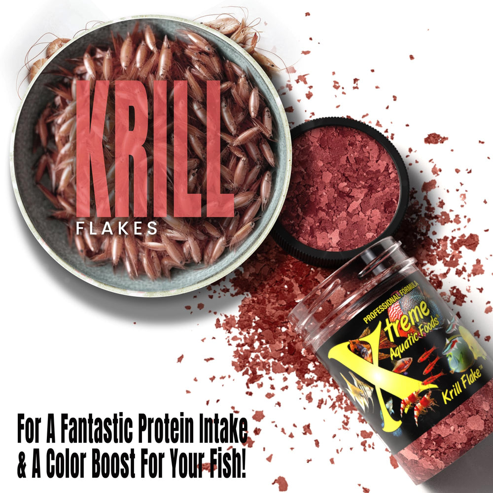 Freshwater fish showing brighter colors after feeding Xtreme Krill Flakes.