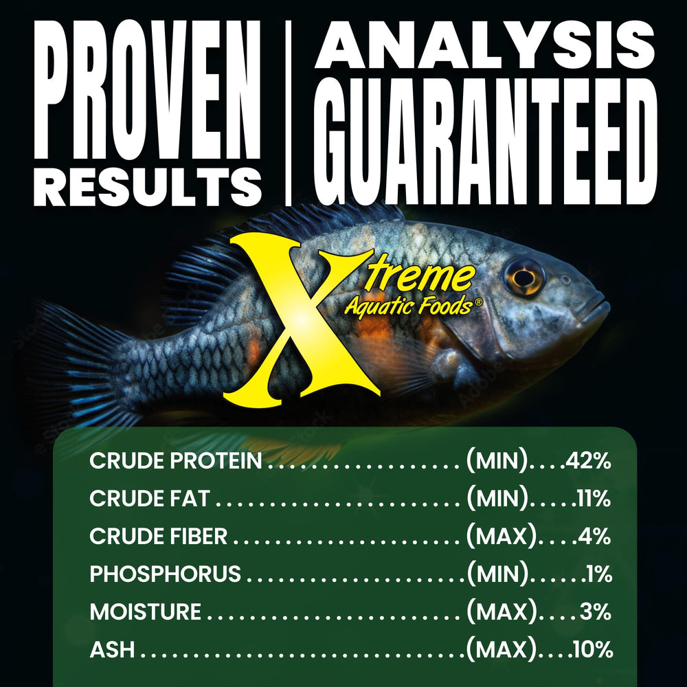 Xtreme Spirulina Flakes suited for tropical and marine herbivorous fish feeding scene.