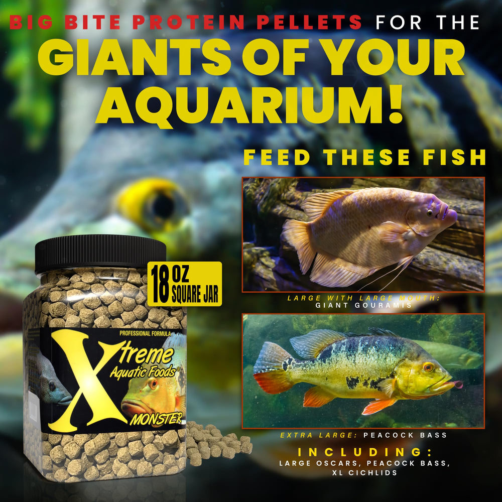 Xtreme Monster 9.0mm pellets for Pike Cichlids supporting long-term health