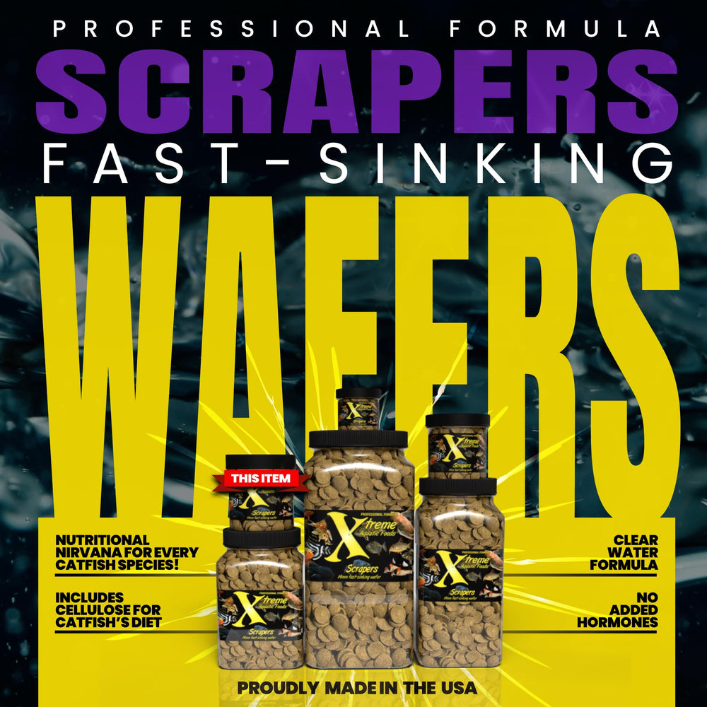 Xtreme Scrapers Wafers closeup 14mm sinking wafer for quick uptake.