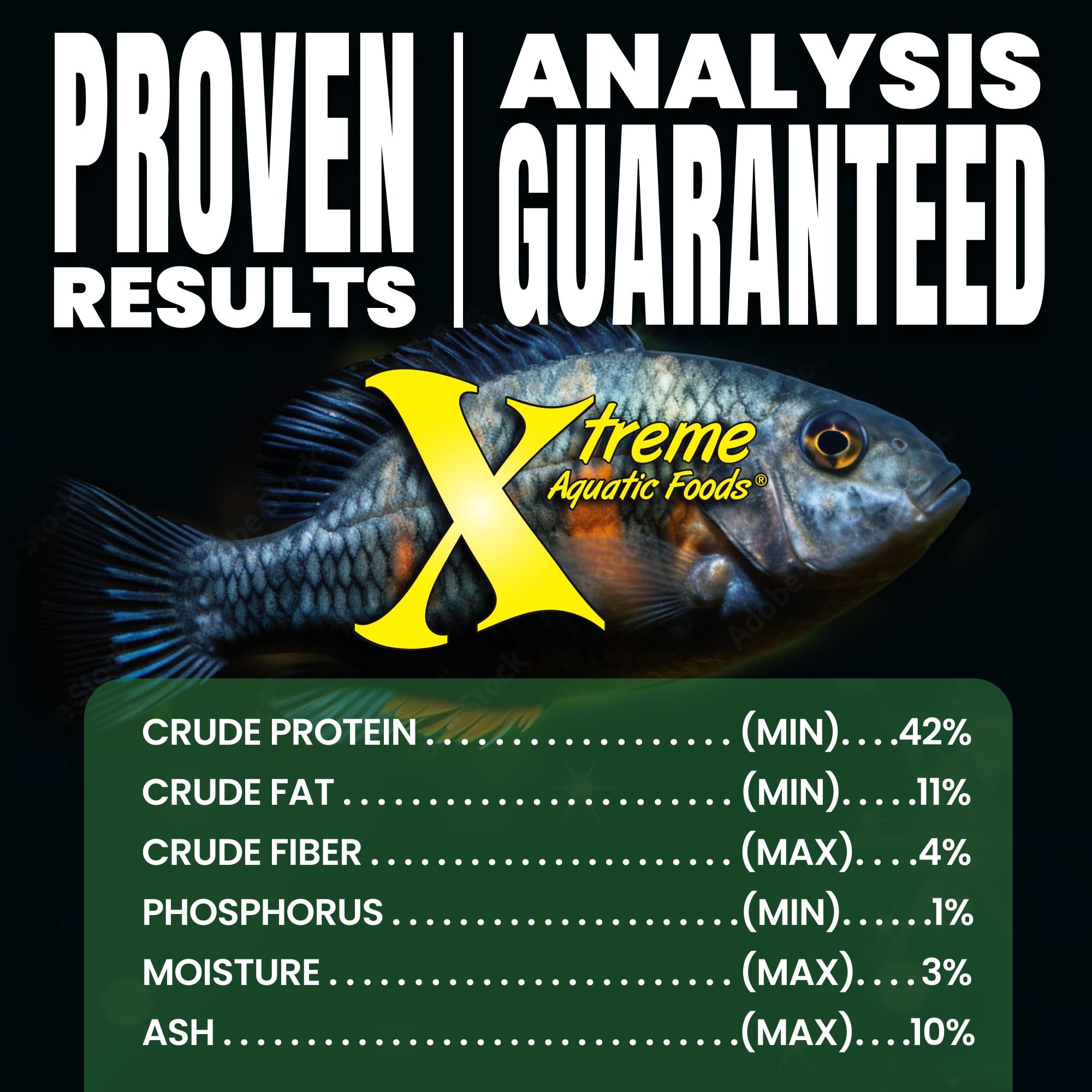 Xtreme Spirulina Flakes algae-diet demo shows herbivorous feeding behavior.