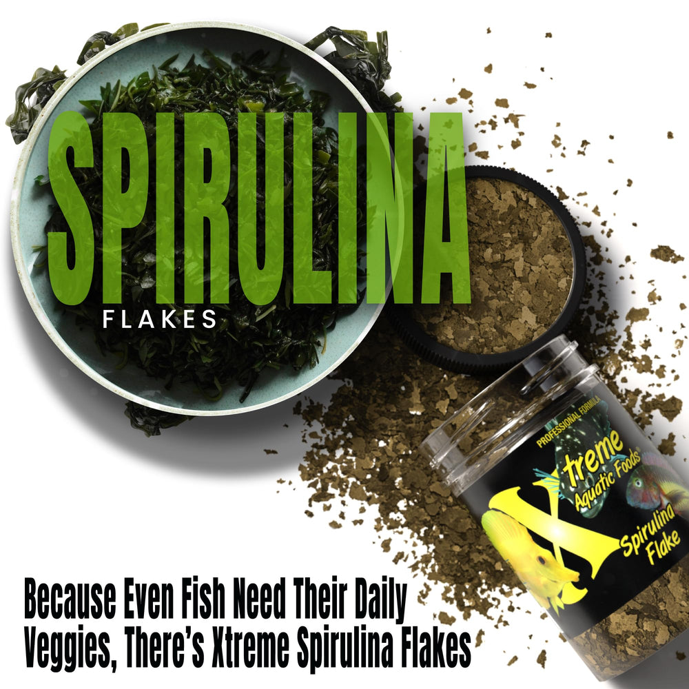 Xtreme Spirulina Flakes digestible proteins promote cleaner waste in tanks.