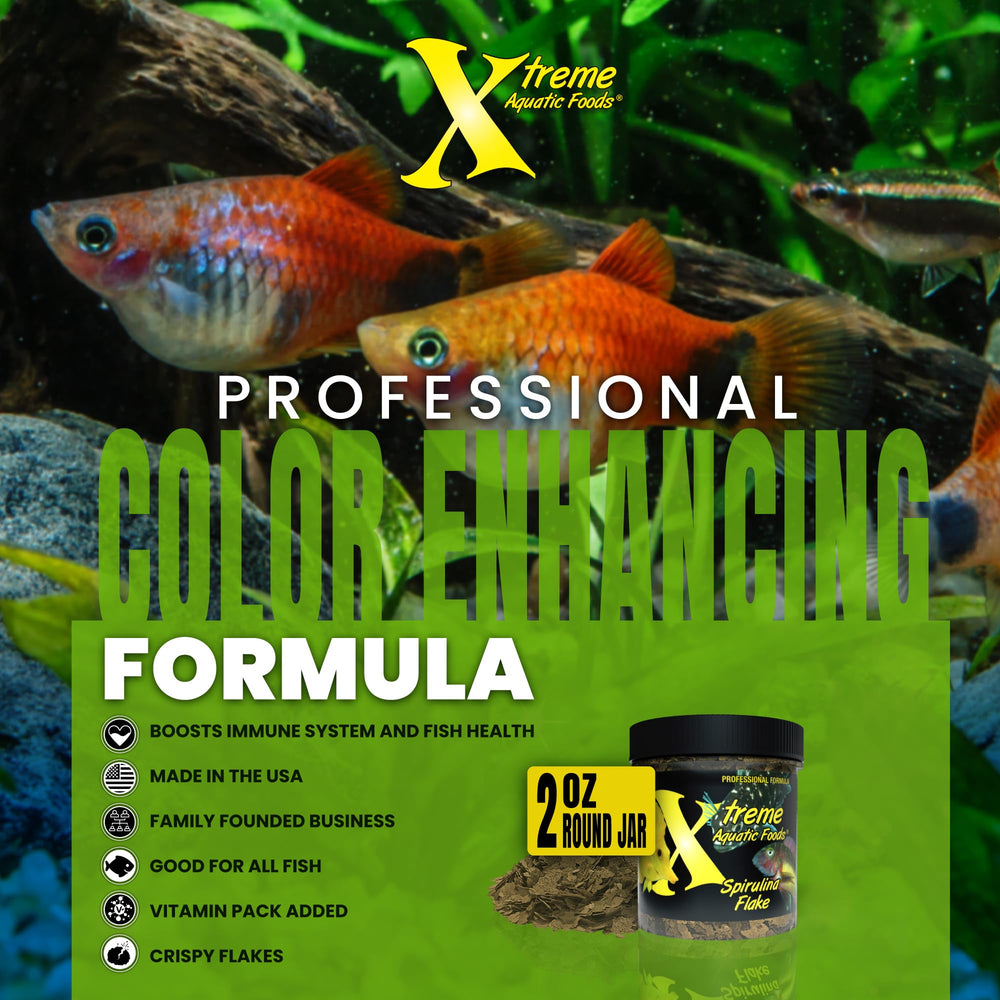 Xtreme Spirulina Flakes Vitamin C infusion supports healthy fins and gills.
