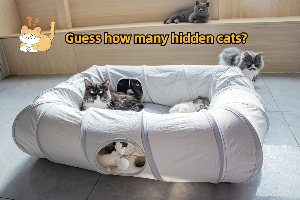 XxingSheep cat tunnel bed dangling balls enhance interactive playtime