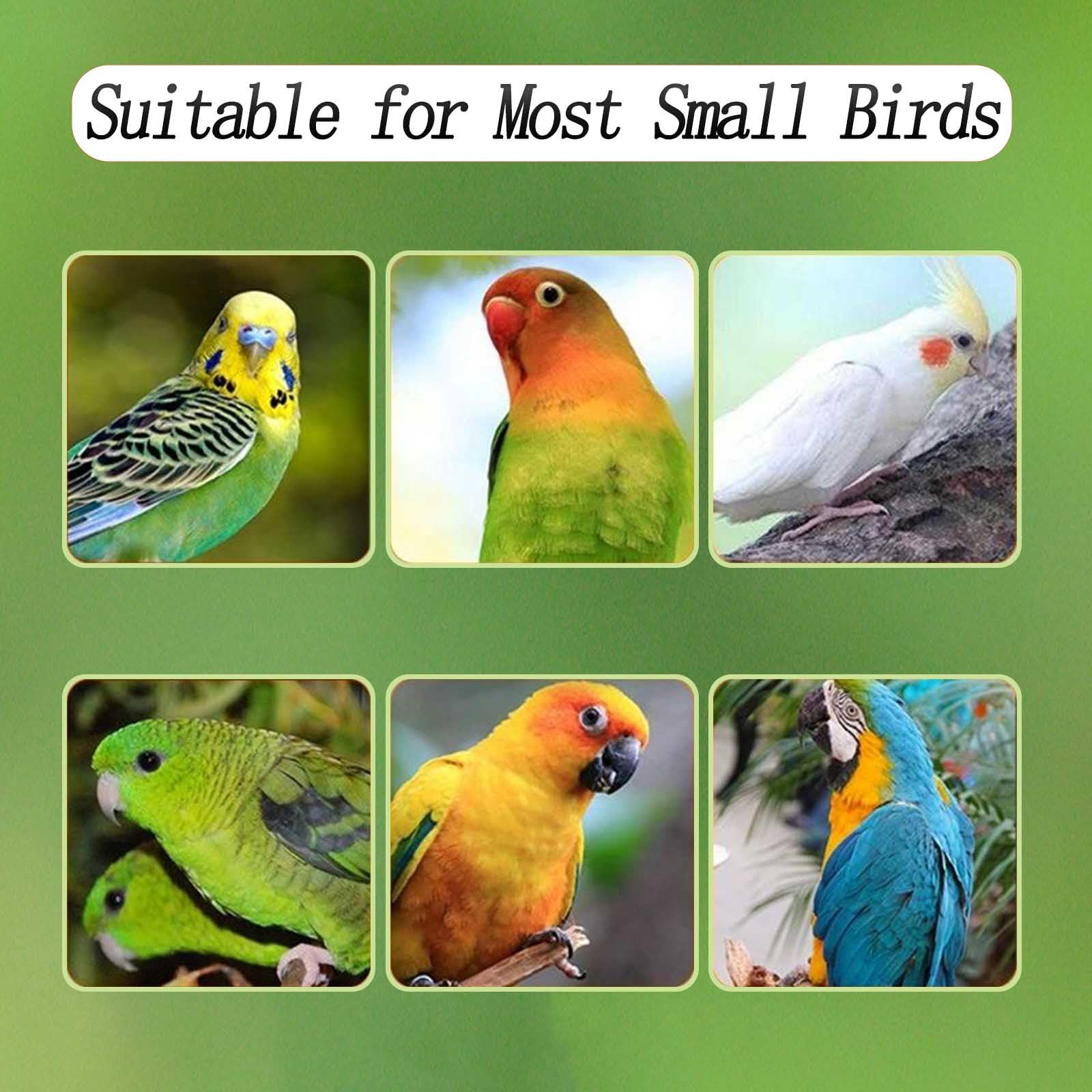 Xxmbbjy No Mess Bird Feeder sturdy stainless steel hooks resist rust