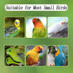 Xxmbbjy No Mess Bird Feeder sturdy stainless steel hooks resist rust