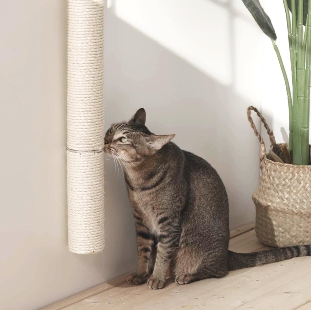 xympo 34-inch eco-friendly sisal texture highlights sustainable materials