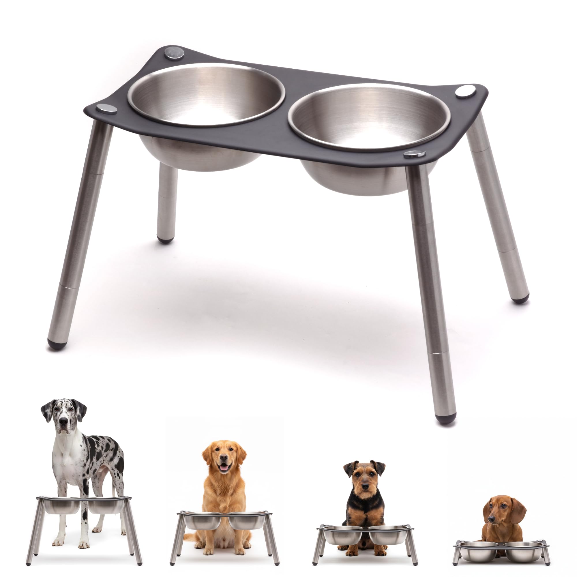 xympo elevated dog bowl top with matte black finish for a clutter-free dining area