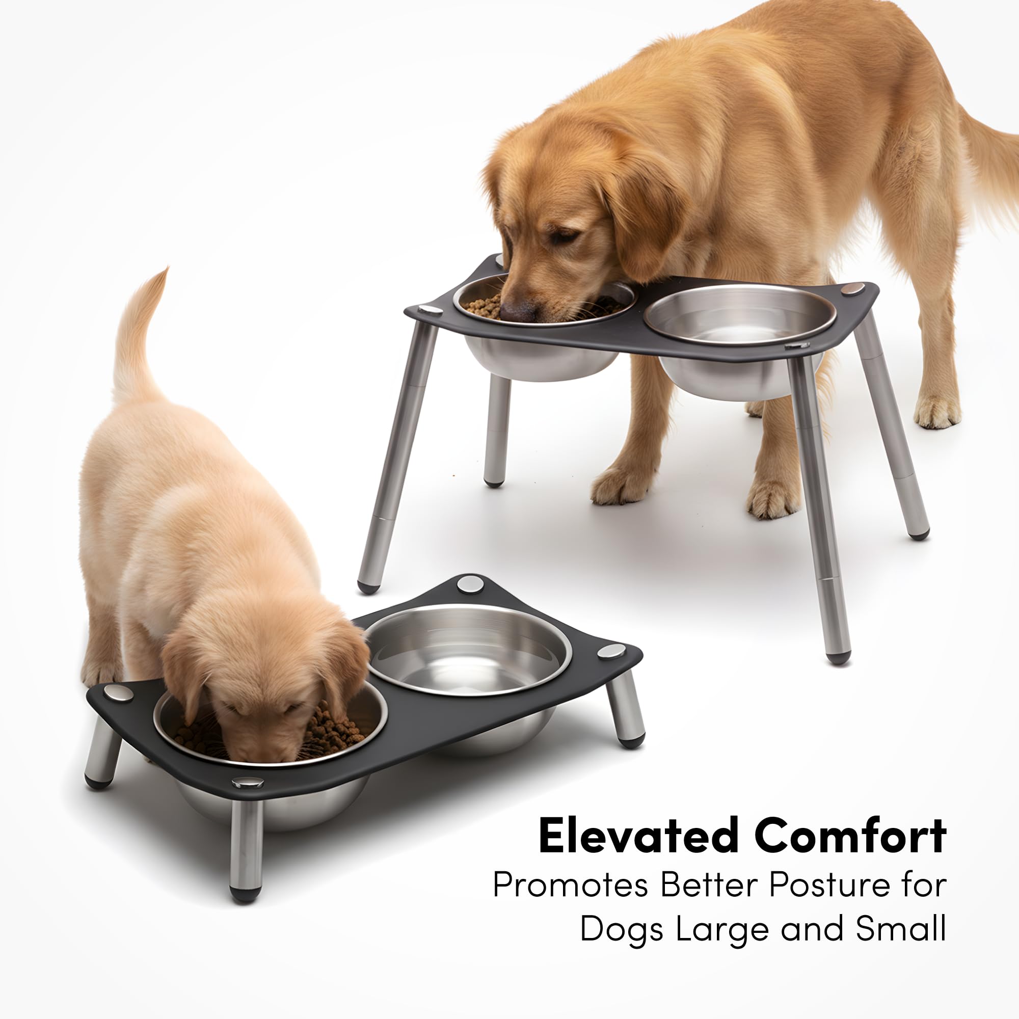 xympo stainless bowls 56oz offer ample serving capacity for large or multiple meals