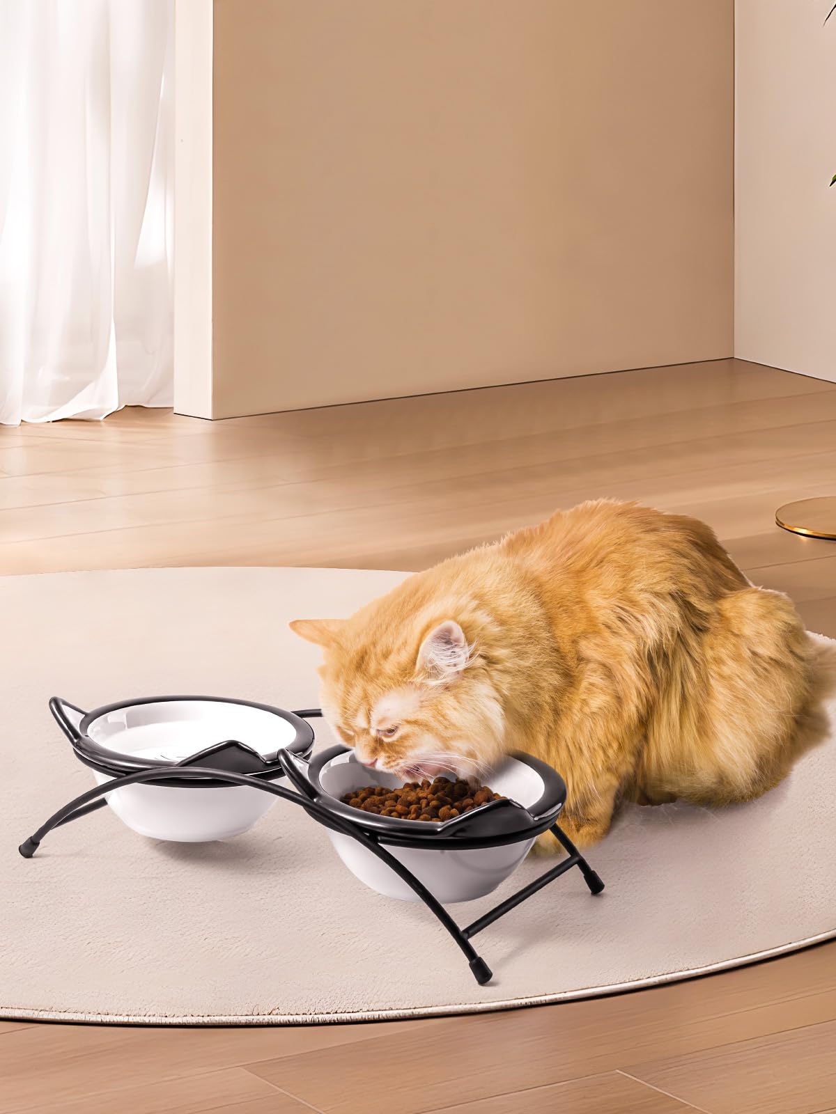 Y YHY compact feeding solution for cats and small dogs in tight spaces