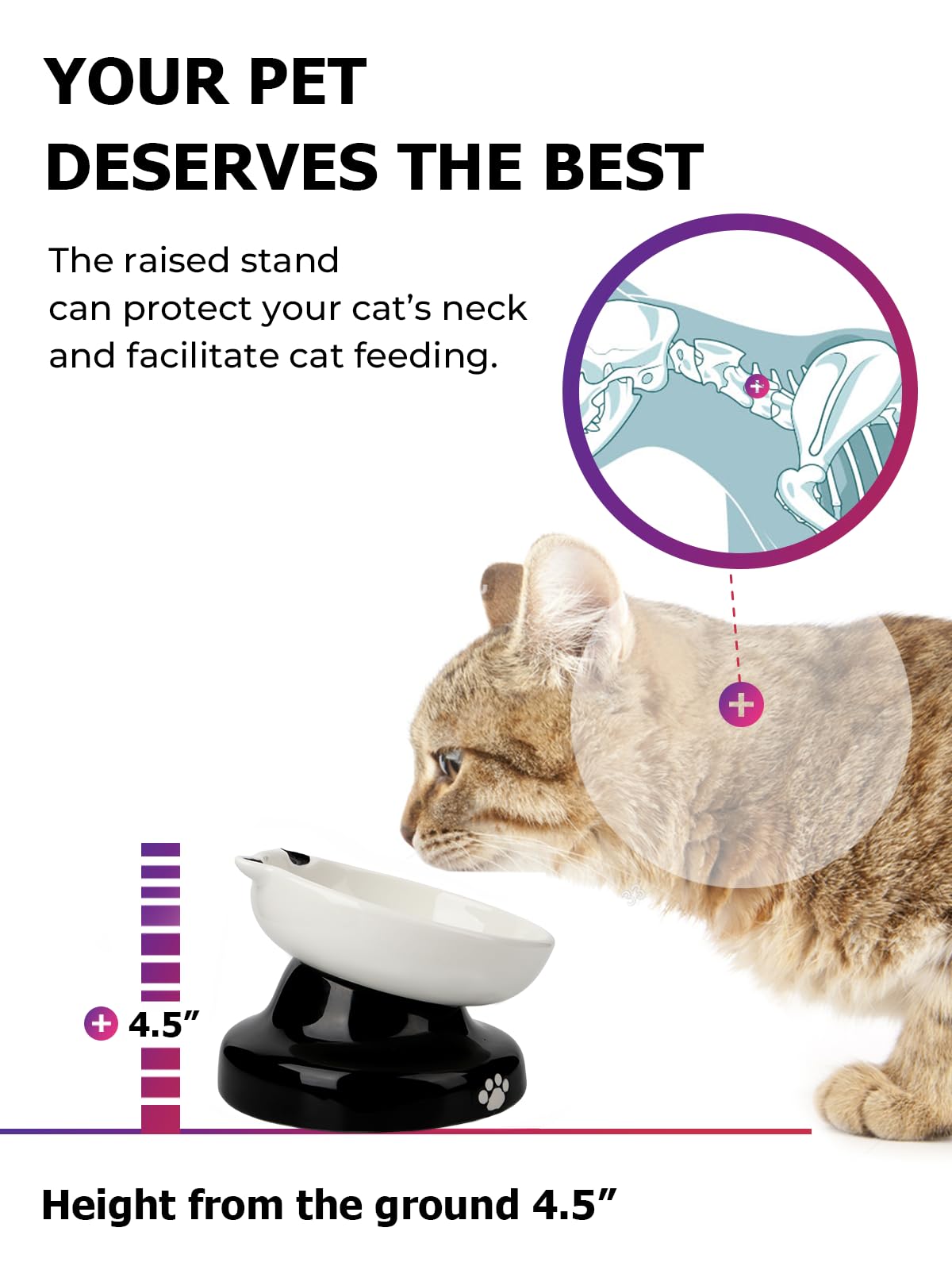 Y YHY ceramic surface works with dry and wet food variety