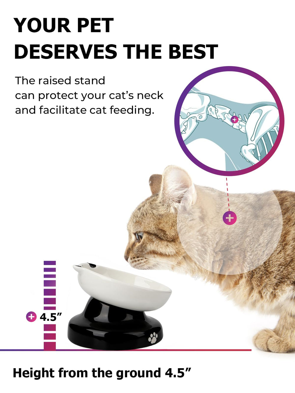 Y YHY ceramic surface works with dry and wet food variety